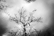 Phil Harbord - Reflections